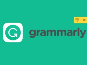 Grammarly Pro